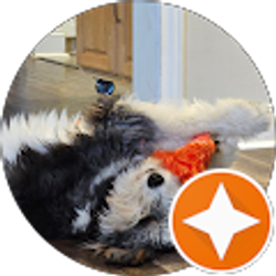 Profile photo of Kaitlyn Findley