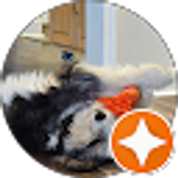 Profile photo of Kaitlyn Findley