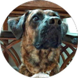 Profile photo of Patrick