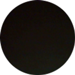 Profile photo of Chastilly Martinez