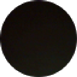 Profile photo of Chastilly Martinez