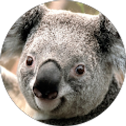 Profile photo of Sheila stofa