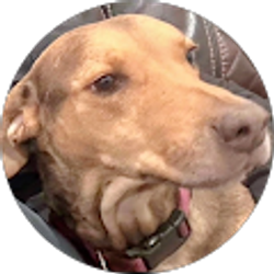 Profile photo of Jacob Quitugua