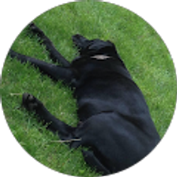 Profile photo of Jacob Wilson