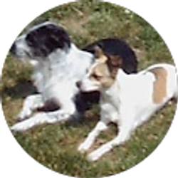 Profile photo of Diana H