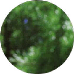 Profile photo of Zachary Johnson