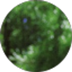 Profile photo of Zachary Johnson