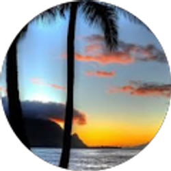 Profile photo of Dawn Andvik