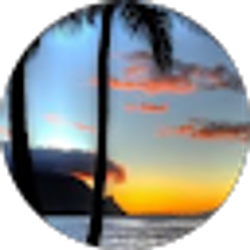 Profile photo of Dawn Andvik