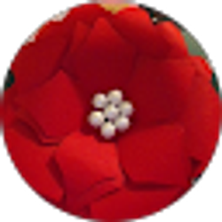 Profile photo of Molly Miller