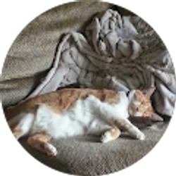 Profile photo of j bahnmil