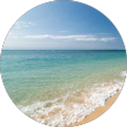 Profile photo of Michelle Freedman