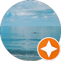 Profile photo of Dimitra Dixon