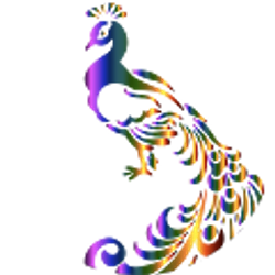 Profile photo of Maria C