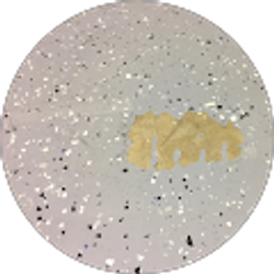 Profile photo of J A