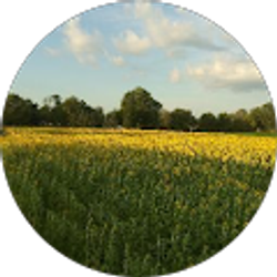 Profile photo of Misty Pleiman