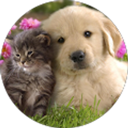 Profile photo of Michelle Costello