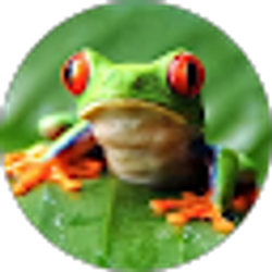 Profile photo of Laura Kocak