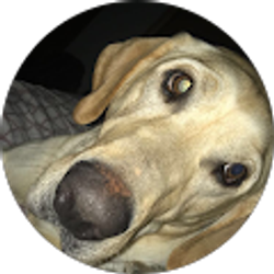 Profile photo of Jacob Gille