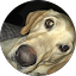 Profile photo of Jacob Gille