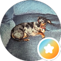 Profile photo of Tammy Lozano