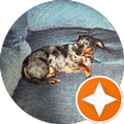 Profile photo of Tammy Lozano