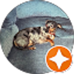 Profile photo of Tammy Lozano