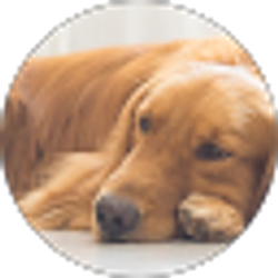 Profile photo of Patricia Bernal