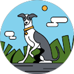 Profile photo of Kama Doucoure