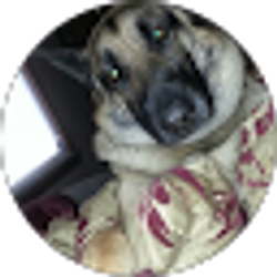 Profile photo of AnG McGee
