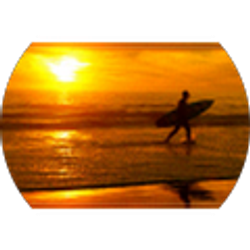 Profile photo of jonathan palmer