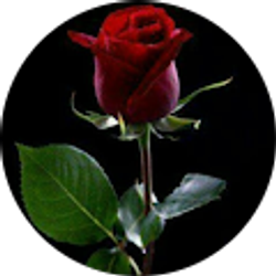 Profile photo of Katerynee Fuentes