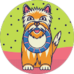 Profile photo of Kaylee Davis