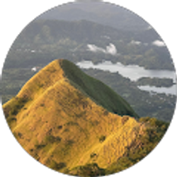 Profile photo of Mario