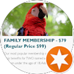 Profile photo of Latonia Marker