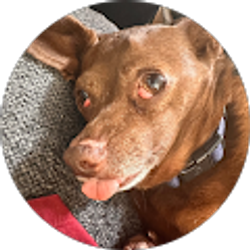 Profile photo of Jan Grindle