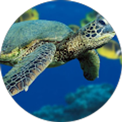 Profile photo of norman eke