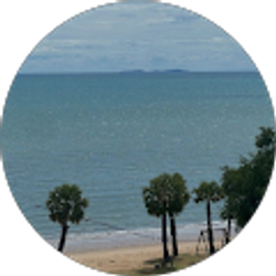 Profile photo of Nguyễn Hồ Thảo Anh