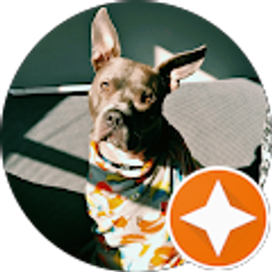 Profile photo of JA R