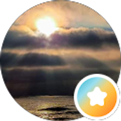 Profile photo of Randi Stir