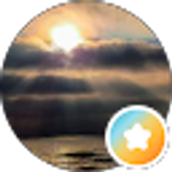 Profile photo of Randi Stir