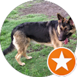 Profile photo of T Vargas