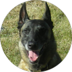 Profile photo of BC Hadley