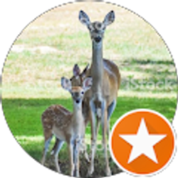 Profile photo of Alice G