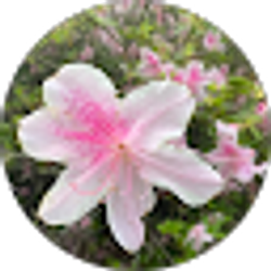 Profile photo of Tonya