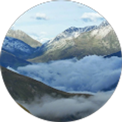 Profile photo of Nico Apodaca