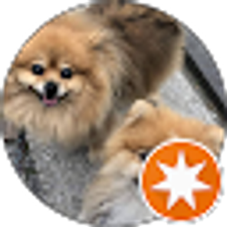 Profile photo of Cooke Harvey