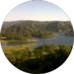 Profile photo of Cecilia Zavaleta