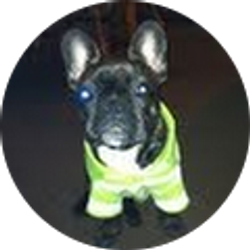 Profile photo of Chris Mann