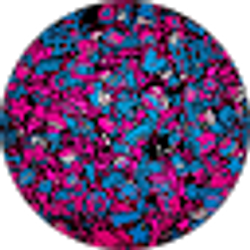 Profile photo of QuickSaveIt